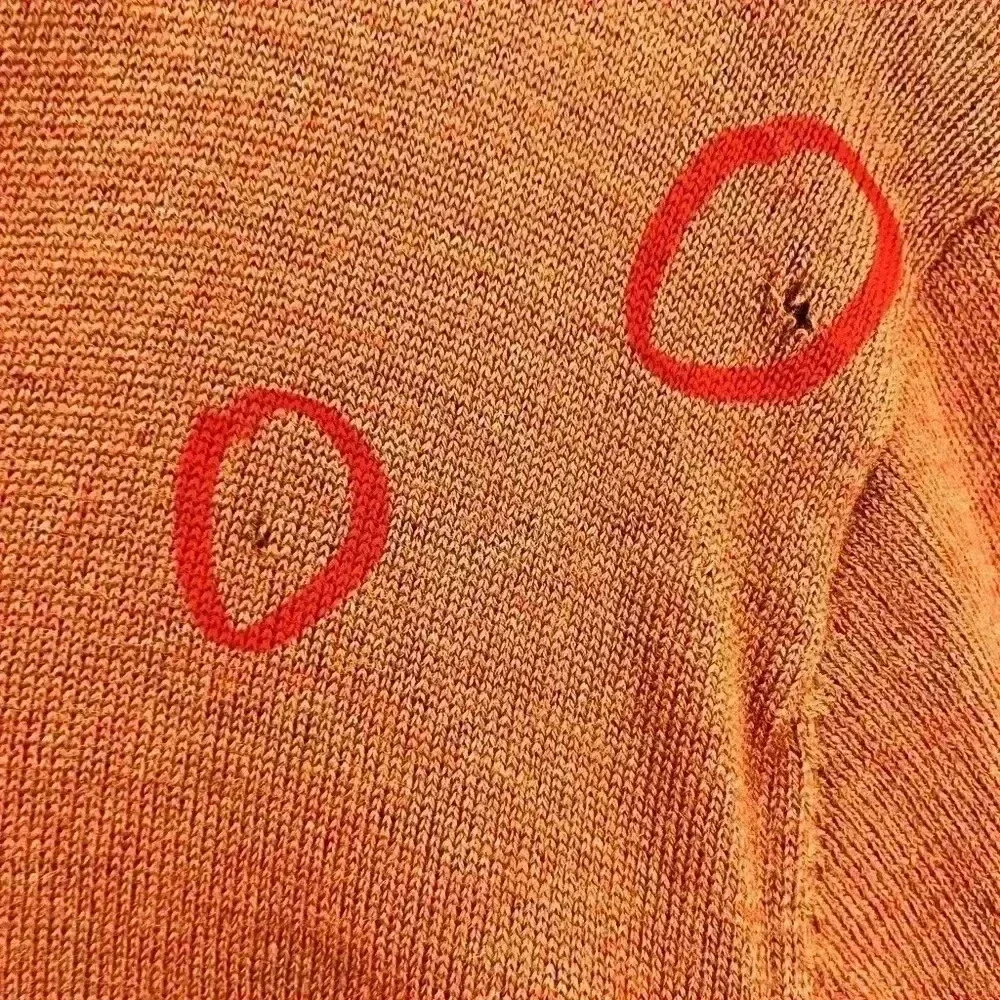 Alan Flusser 100% Merino Wool Sweater, v neck, pullover, in Autumn orange